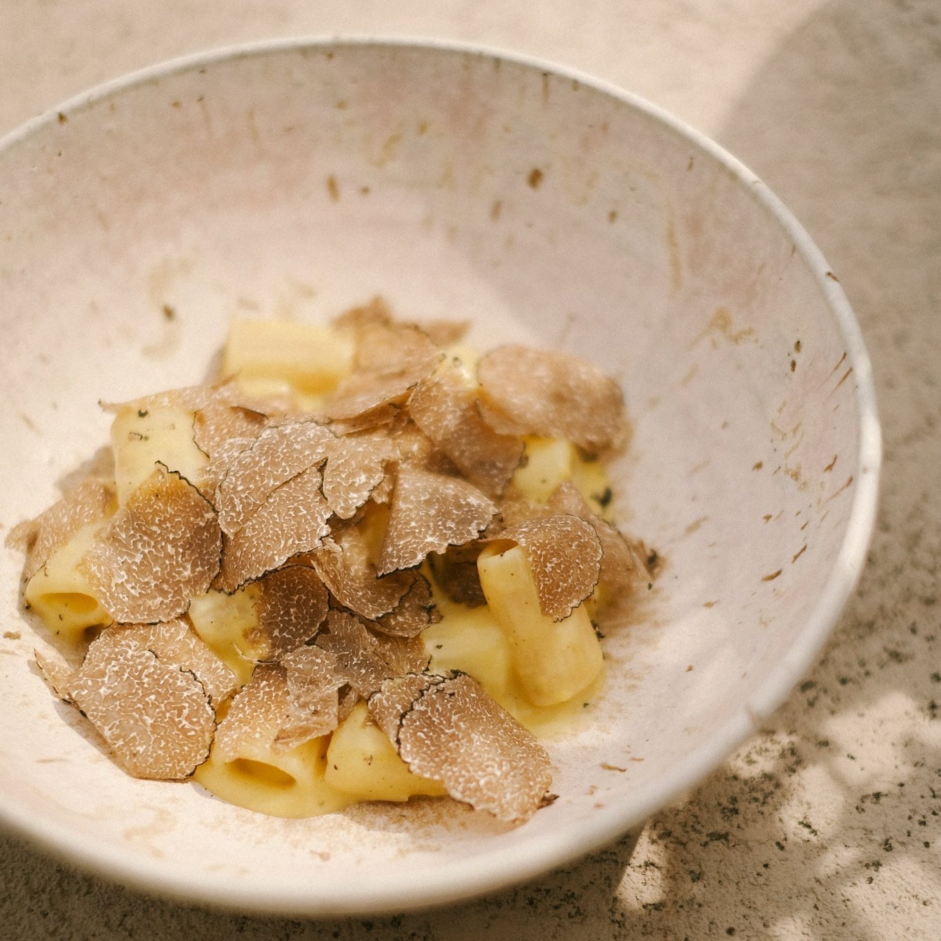 Carbonara Pasta Sauce - with Italian Summer Truffle TARTUFLANGHE USA