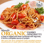 Pasta Farro Organic Spelt Spaghetti with Wheat Germ 250g Morelli Pasta
