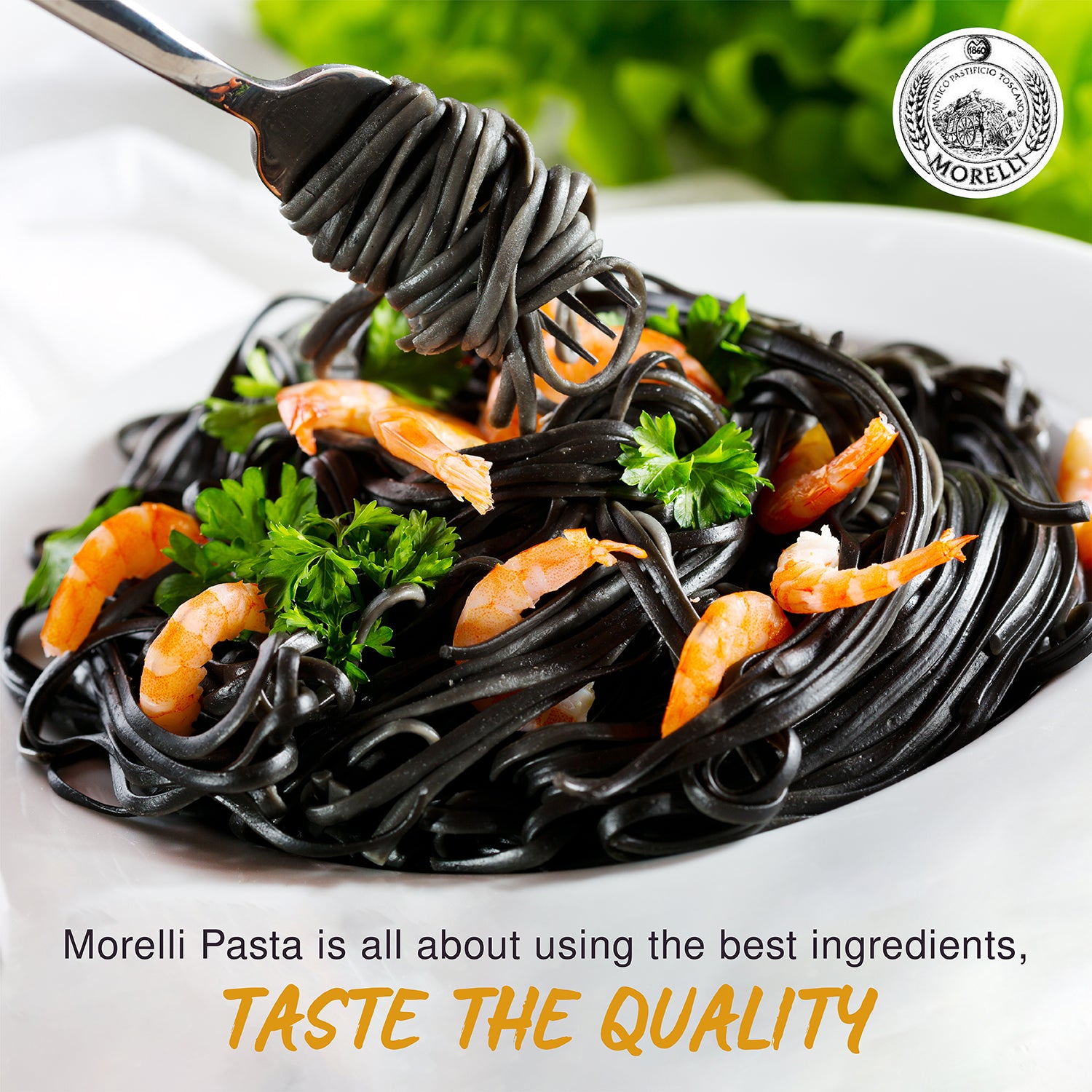 Organic Linguine Pasta with Squid Ink 8.8oz/250g Morelli Pasta