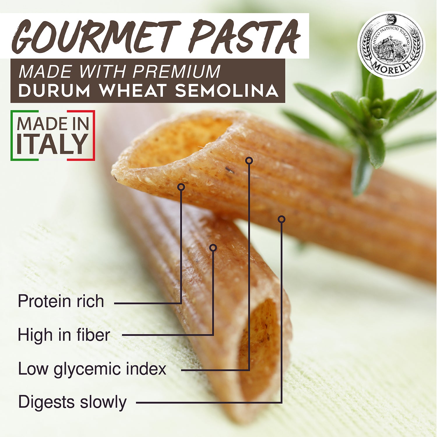 Penne Integrali Whole Wheat Pasta 17.6oz / 500g Morelli Pasta